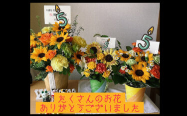 🌻 5月16日（火）５周年にあたりたくさんのお花いただきました 🌸 ありがとうございます 🙇‍♀️ 🙇‍♀️【お食事処向日葵】