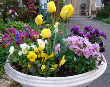 Laporan kegiatan Wali Kota Hokuryu Yutaka Sano, 25 Mei (Kamis), pertemuan Dewan Direksi Dewan Pertanian Hokkaido (Sapporo), pertemuan Komite Konsultasi Tetap Dewan Pertanian Hokkaido