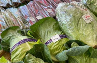 本日とても良いお天気です。葉物野菜 🥬 キャベツ、リーフレタス、ニラ、青じそ、カブ、アスパラなどが入っています【みのりっち北竜】