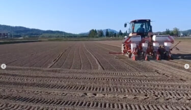 5.24 ▶︎▶︎ ダイズの種まき ‼︎ 田植えと同時進行で畑作業もやっていました ‼︎ 今年のダイズも 立派に育ちますように ✨【農事組合法人ほのか】