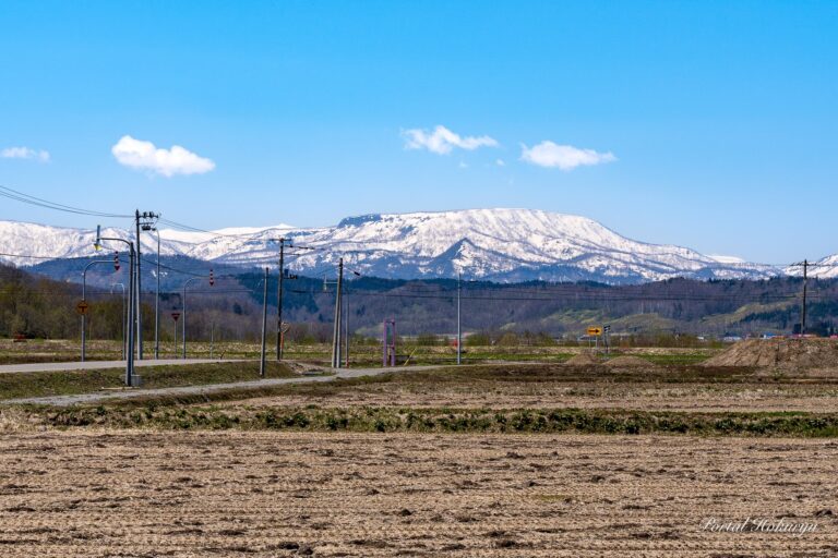 春の田畑を見守る恵岱岳