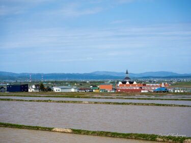 田植え前の静寂さ