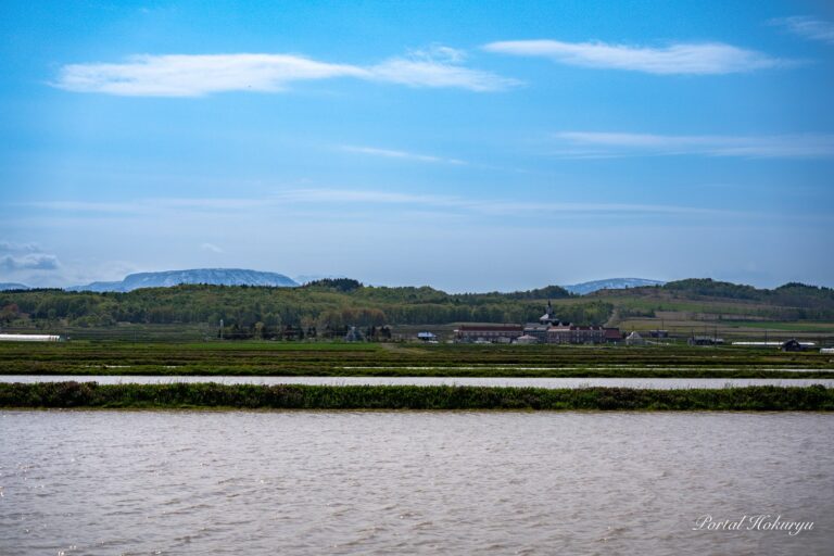 水面揺れる静寂なる風景