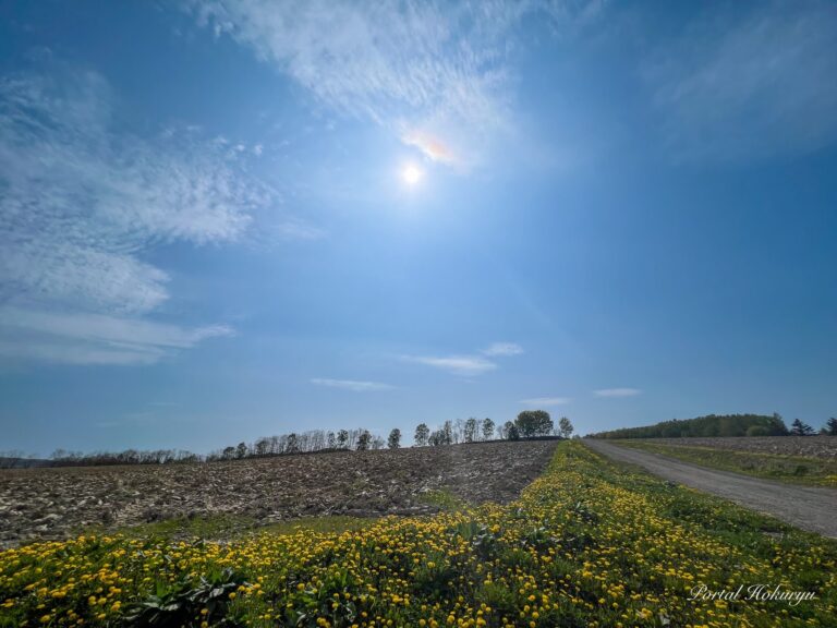 たんぽぽの歌声が聞こえるひまわりの里