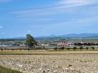 肥沃な土壌づくりが進むひまわりの里