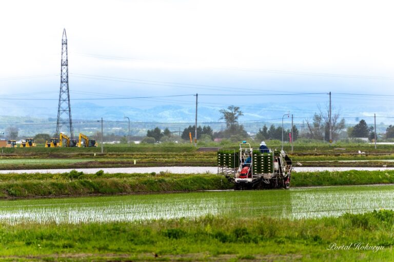 田植え真っ盛り！