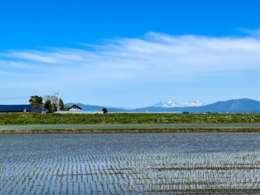 遠くに浮かび上がる大雪山連峰