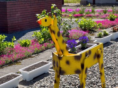 キリンさんプランターに愛らしいロベリアの花