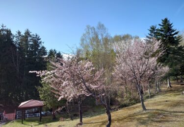 होकुर्यु टाउन के मेयर युताका सानो द्वारा गतिविधि रिपोर्ट: 1 मई (सोमवार) होकुर्यु टाउन के मानद नागरिकों के साथ बैठक, मेयर के विभाग प्रमुखों के साथ बैठक, सपोरो लॉ ऑफिस के वकीलों के साथ बैठक, सोराची टाउन और विलेज एसोसिएशन के महासचिव के साथ बैठक, होकुर्यु ओनसेन प्रबंधन सम्मेलन