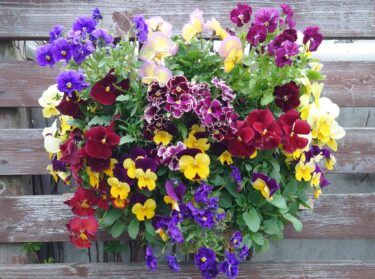 北竜町長 佐野豊 活動報告・5月9日（火）5月定例課長等会議、第36回新型コロナウイルス感染症対策本部会議（対策本部解散）