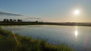 Hokuriku Şəhər Bələdiyyə Başçısı Yutaka Sano tərəfindən fəaliyyət hesabatı: 30 May (Çərşənbə axşamı) Hər bir departamentin işçiləri ilə müzakirə (Məclis, Ümumi İşlər, Sənaye, Planlaşdırma və Təşviq, Ümumi İşlər Departamentinin Mühasibat Uçotu), 2023-cü il Milli Səhiyyə Sığortası Tariflərinin Hesablanması Müzakirəsi