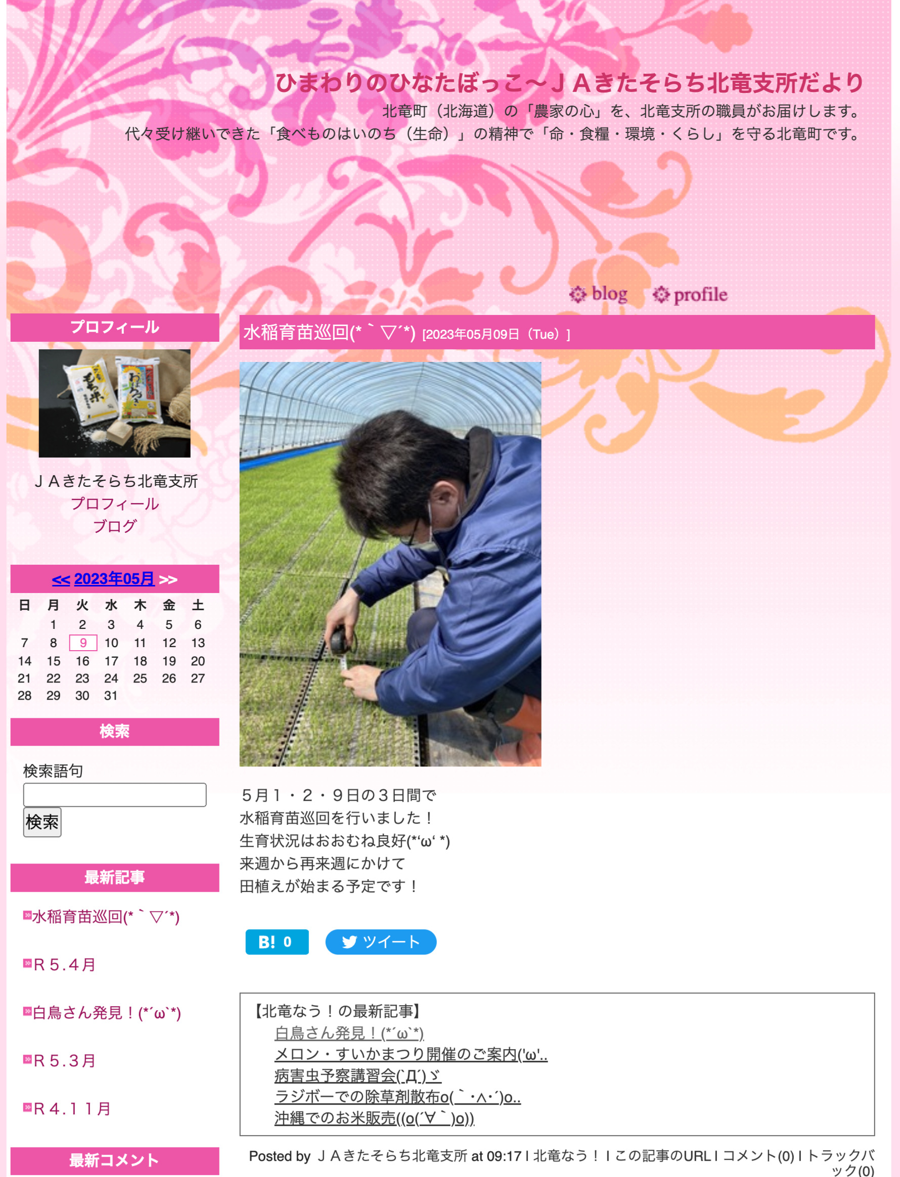 水稲育苗巡回 (*｀▽´*) 生育状況はおおむね良好 (*‘ω‘ *) 来週から再来週にかけて田植えが始まる予定です！【ＪＡきたそらち北竜支所】