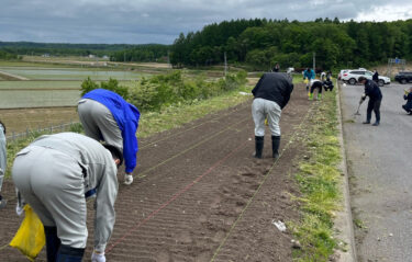 5月30日北竜ひまわりICにおいて、ひまわりの播種作業を北竜建設業協会主催において行いました【北興建設】