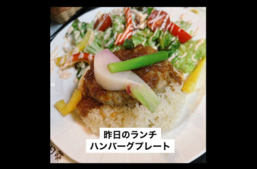 🌻 9 Haziran (Cuma) Bugünün günlük öğle yemeği: Hamburg bifteği tek tabak öğle yemeği ♪ [Himawari Restaurant]
