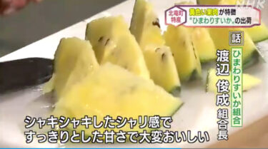 [वीडियो उपलब्ध] होकुर्यु शहर में "सूरजमुखी तरबूज" की खेप शुरू। पीले गूदे वाले छोटे तरबूज। [एनएचके न्यूज़ वेब]