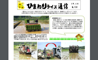ひまわりライス通信 No.150・令和5年6月【ＪＡきたそらち北竜支所】
