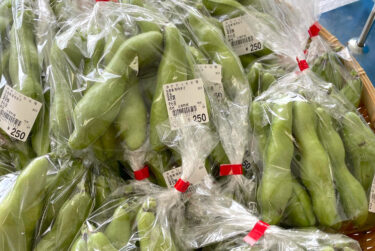 6月29日（木）本日も初物があります。そら豆、塩茹でビール 🍺 のおともにいかがでしょうか？ヤングコーン 🌽 も入りました。【みのりっち北竜】