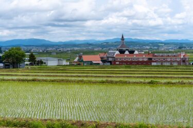 Hãy biết ơn ngày hạ chí, khi bạn có thể thanh lọc trái tim mình và bắt đầu lại từ đầu!