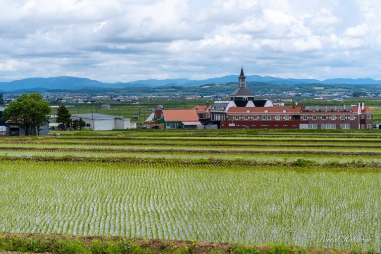 田んぼを見守るサンフラワーパーク北竜温泉