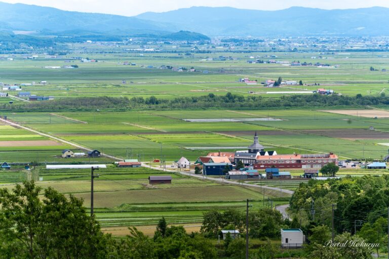 眺望の丘の風景