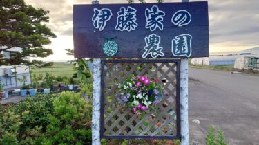 北竜町長 佐野豊 活動報告・6月20日（火）工事入札（橋架替え工事外8件）、北海道農業会議常設審議委員会（札幌市）