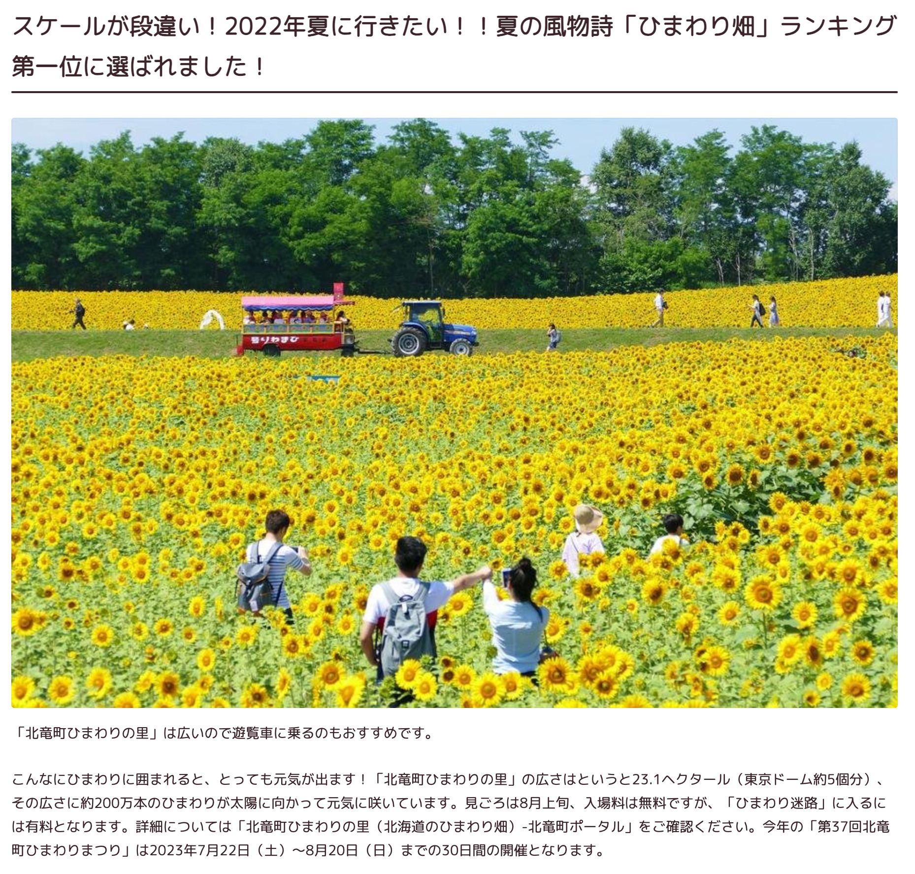 夏!ひまわりといえば北竜町!2023年夏!【第37回北竜町ひまわりまつり開催!】北海道雨竜郡・北竜町【*and trip.】