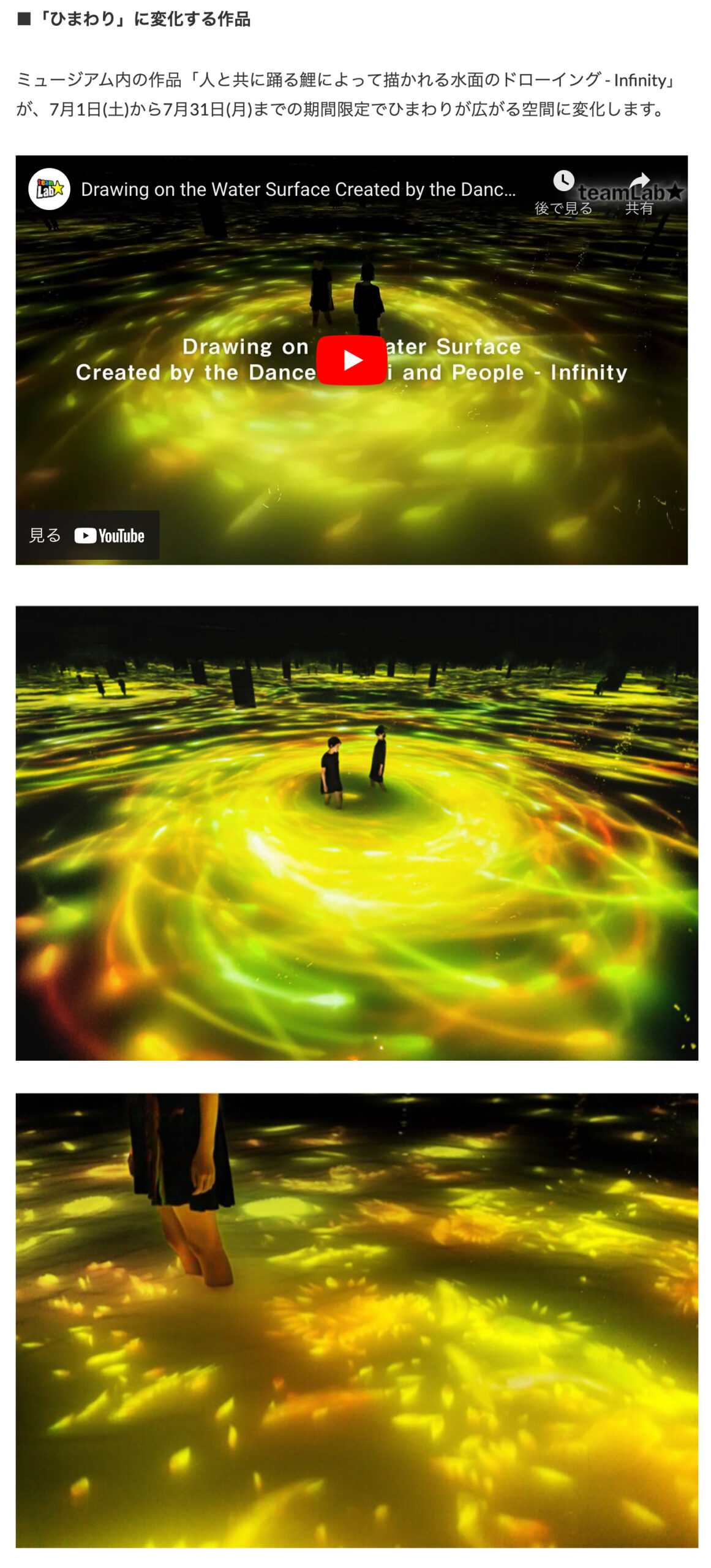 TeamLab Planets (Toyosu, Tokyo) will be transformed into a world of blooming sunflowers for the summer only [CREA]