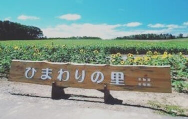 जुलाई से रेस्टोरेंट के खुलने का समय बदलकर ❂ 11:00-14:00 (दोपहर का भोजन उपलब्ध) ❂ 14:00-17:00 (केवल पेय उपलब्ध) ❂ 17:00-19:30 (रात्रिभोज उपलब्ध) हो गया है! [सनफ्लावर पार्क होकुर्यु ओनसेन]