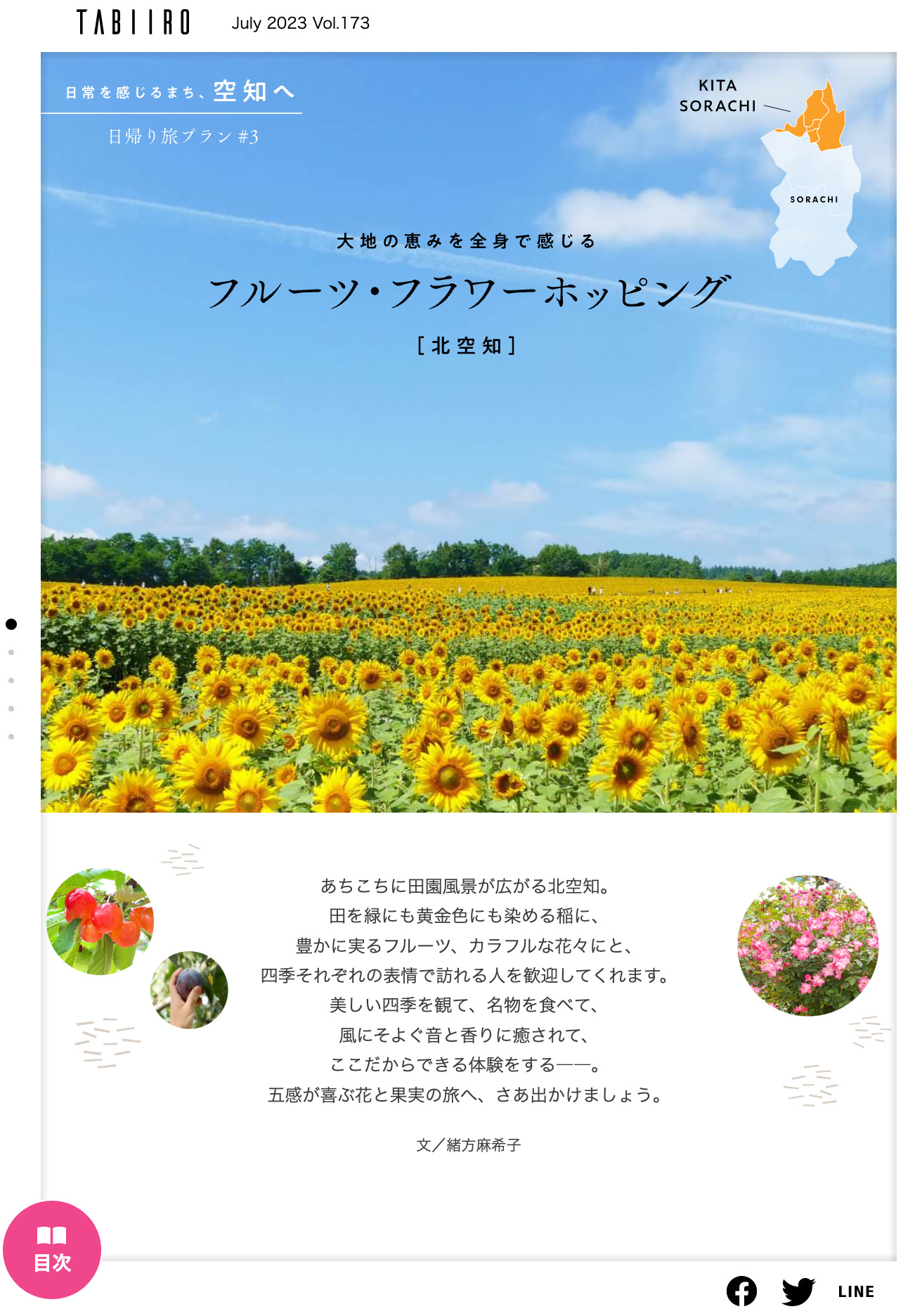 北竜町ひまわりの里で広大な畑を染める黄色い絨毯に感動【月刊電子雑誌「旅色 TABIIRO」7月号】