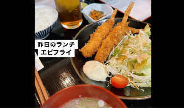 🌻 7月7日（金）本日の日替わりランチ：冷静パスタ〜シーフード入りのトマトパスタ 🍝 でした 😊【お食事処向日葵】