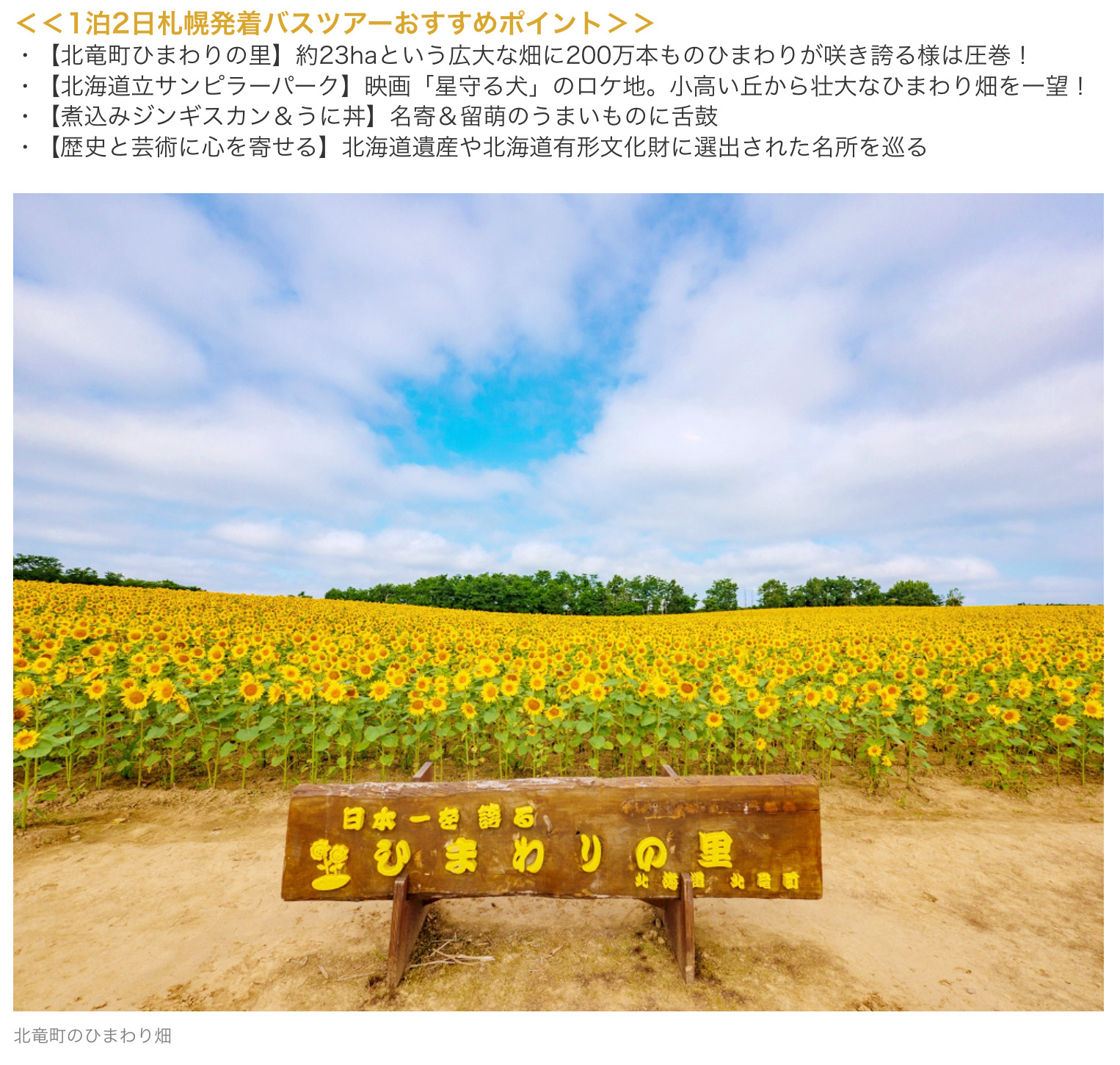 1泊2日観光バス【朝陽亭】<札幌発着>夏のひまわり畑と漁師オススメのウニ丼に舌鼓の2日間【野口観光グループ】