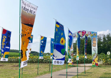 オープン式は明日、7月22日（土）10:00からです！ 明日も気温が高くお天気が良い予報となってますので、熱中症などに気をつけてご来場ください 🌻【北竜町ひまわり観光協会】