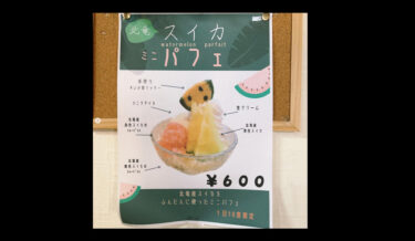 【1日10食限定】スイカミニパフェ・北竜町産スイカ使用【お食事処向日葵】