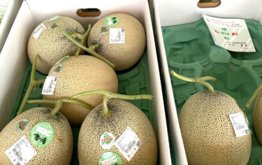 7月21日（金）いよいよ明日は 🌻 ひまわりの里オープンです。みのりっち北竜のお店もありますので是非里に行った時にはお立ち寄りくださいね ♪【みのりっち北竜】