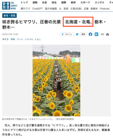 ทิวทัศน์ดอกทานตะวันบานสะพรั่งอันตระการตาที่โฮคุริว ฮอกไกโด และโนกิ โทชิงิ... [หนังสือพิมพ์ซันเคอิ THE SANKEI NEWS]