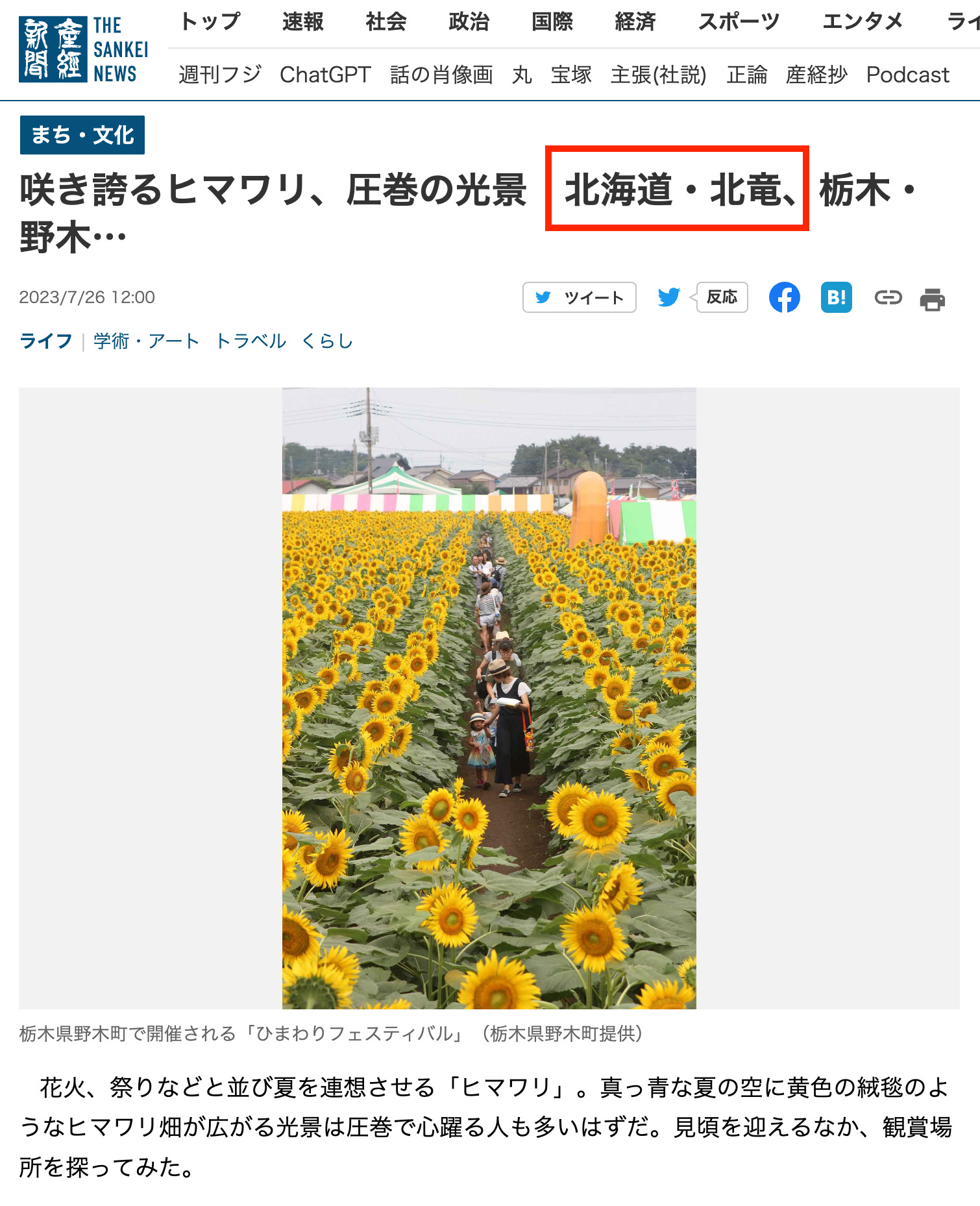 咲き誇るヒマワリ、圧巻の光景 北海道・北竜、栃木・野木…【産経新聞 THE SANKEI NEWS】