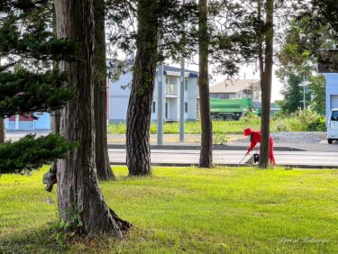 あかずきんちゃん、路肩のお掃除いつもありがとうございます！