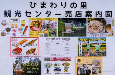 37. Hokuryu Ayçiçeği Festivali 2023 için Hokuryu Ayçiçeği Turizm Merkezi'ndeki harika mağazayı tanıtıyoruz!