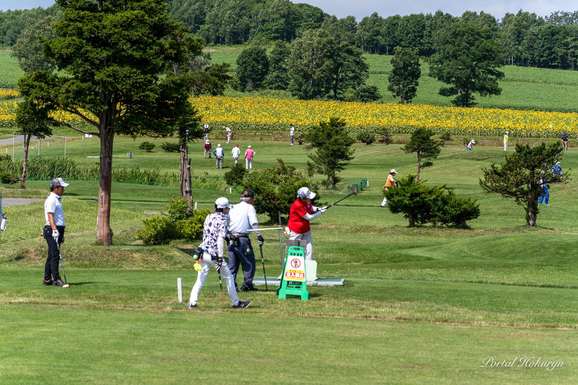 第５回パークフレンド杯パークゴルフ大会（北竜町ひまわりパークゴルフ場）全道から１２２名が集い最高齢９３歳も元気にプレー！