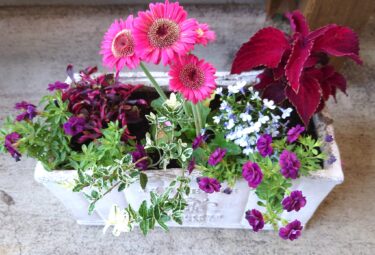 北竜町長 佐野豊 活動報告・6月30日（金）深川地区消防組合管理者会議、北空知広域水道企業団管理者会議、北空知学校給食組合管理者会議、北空知衛生センター管理者会議、北空知振興協議会