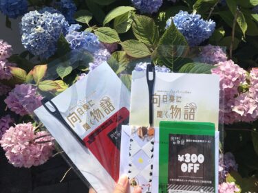 北竜町ひまわりまつり の謎解き 、こども編は初心者でもお子様と一緒に楽しめます 🌱！混雑を避けるなら平日もおすすめ！夏休み はひまわりの里を冒険しませんか ⁉️【北竜ボードゲーム会】