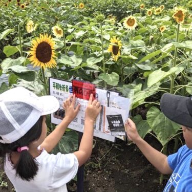 Hokuryu Günəbaxan Festivalında sirrin həlli rəngli filmdən istifadə edərək ifadə edilən çiçəklərin səslərini eşitməyə imkan verən bir hiylədən ibarətdir 👀 Rəng və işıq arasındakı əlaqədən istifadə edən bu mexanizm yay tətili üçün müstəqil təhsil layihəniz üçün bir qədər ilham verə bilərmi? ✏ [Hokuryu Stolüstü Oyun Klubu]