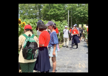 北竜中学校の皆さんによる、世界のひまわりガイドが行われました 🕊 暑い中での実施となりましたが、今年もたくさんのご来場、ありがとうございます ✨【北竜町ひまわり観光協会】