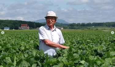 今週の黒千石大豆畑です。丈の高いところでは1メートルにもなっていて、スケールが見えなくなりましたね。そして、早いところでは花が咲いてました！【黒千石事業協同組合】