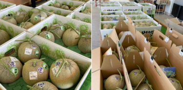 お盆も近いため昨日（8/11）も、本日も沢山のお客様にご来店いただきました。ただ、お客様が欲しいしなものがなかなか揃わなくて大変ご迷惑をおかけしています【みのりっち北竜】