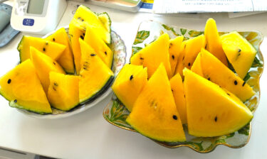 北竜町内の農家さんよりメロンとスイカを頂きました。いつもありがとうございます。みんなで美味しくいただきます【北興建設】