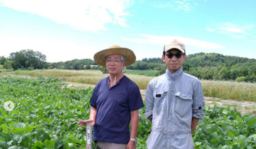 วันนี้(8/14) ไปเที่ยวมา 3 ทุ่งครับ มีดอกไม้บานจำนวนมาก และในบางสถานที่ในช่วงเช้า เรายังสามารถมองเห็นฝักเล็กๆ ได้ด้วย! หวังว่าคุณจะได้เรียนรู้มากมาย ✨ [สมาคมสหกรณ์ธุรกิจคุโรเซ็นโงคุ]