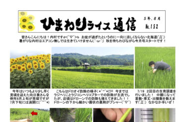 จดหมายข่าวข้าวทานตะวัน ฉบับที่ 152 เดือนสิงหาคม 2566 [สาขา JA Kitasorachi Hokuryu]