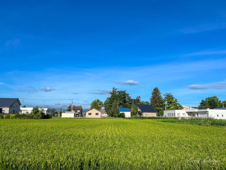 稲穂に感謝をこめて！