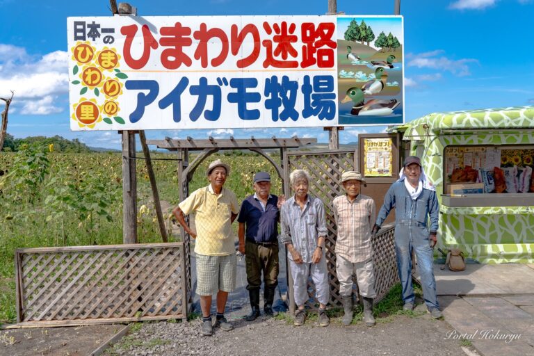 ひまわり迷路・アイガモ牧場後片付け